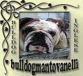 Mantovanelli Bulldog Inglesi